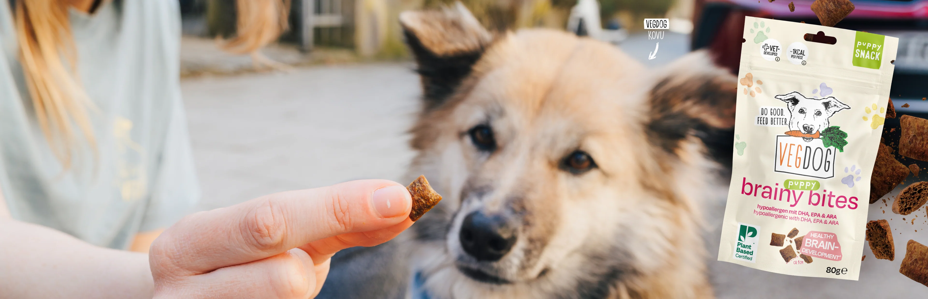 Veganer Genuss für glückliche Hunde