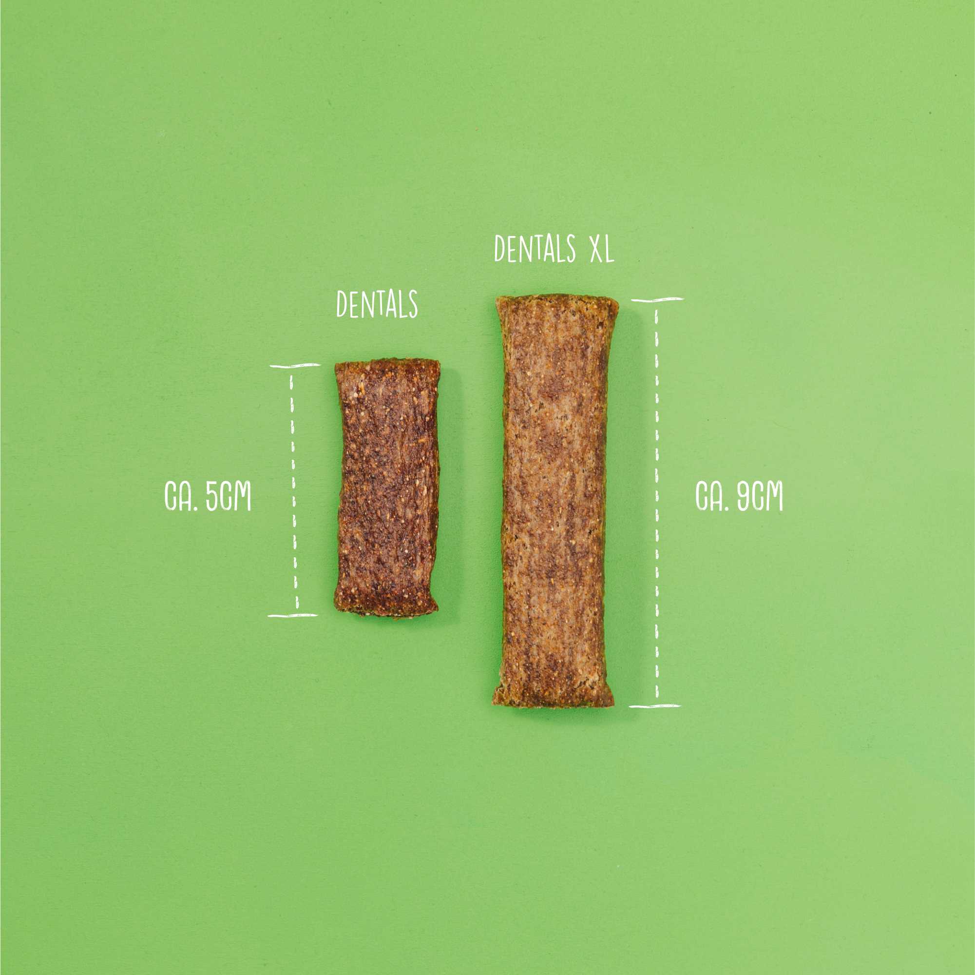 DENTALS XL - Image 3