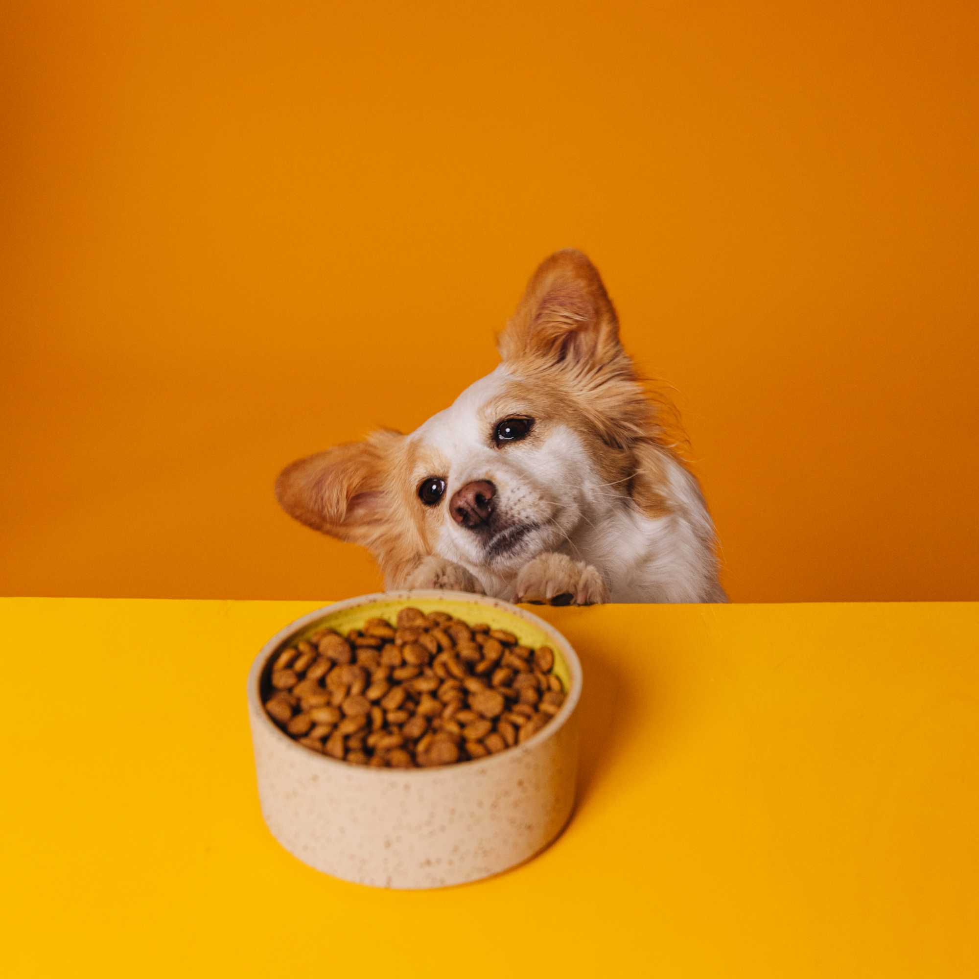 SIMPLY CRUNCH - Image 3