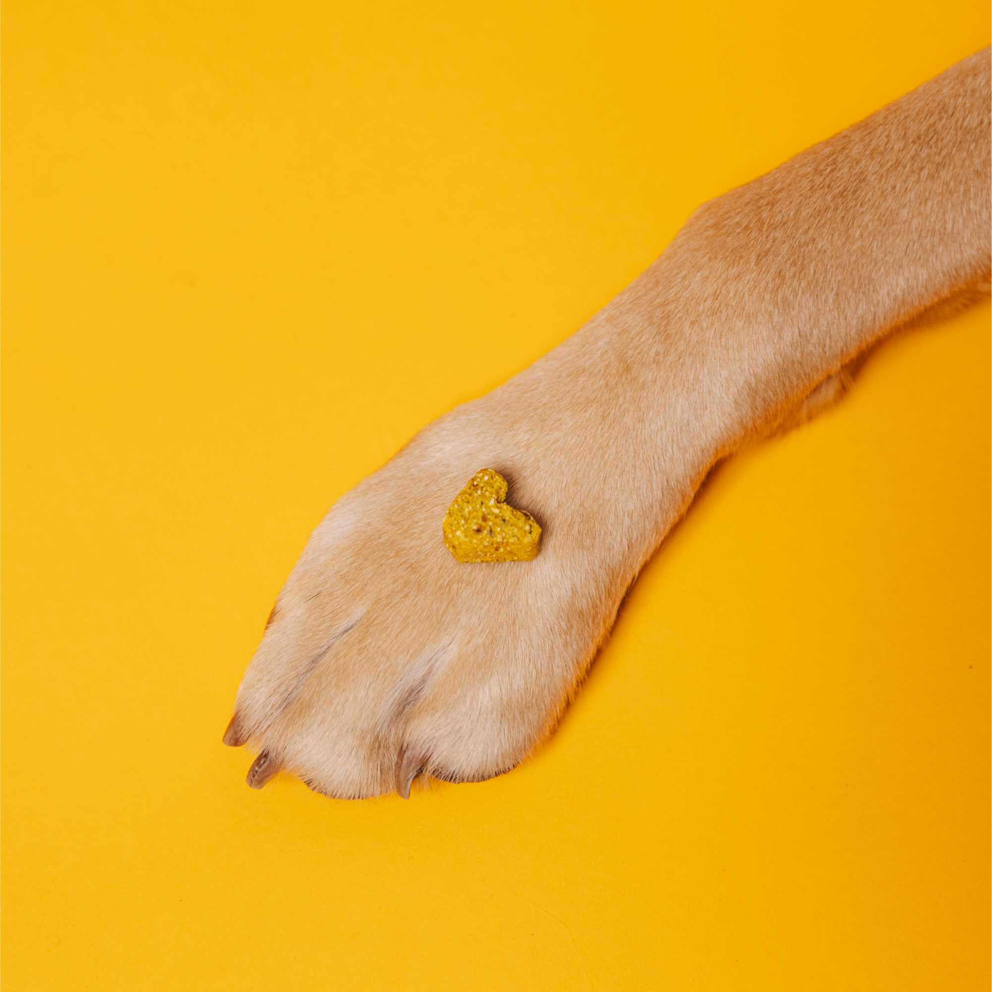 VEGGIES immune - Image 5
