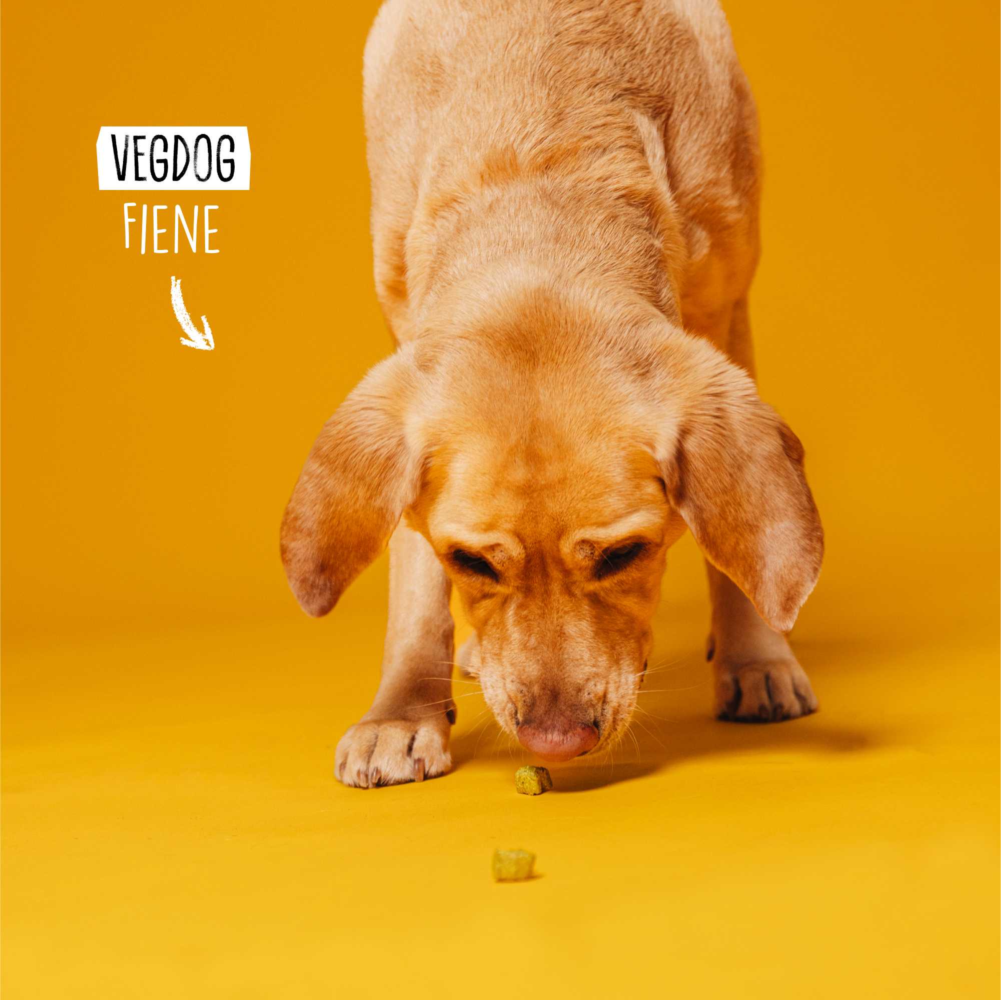 VEGGIES immune - Image 6