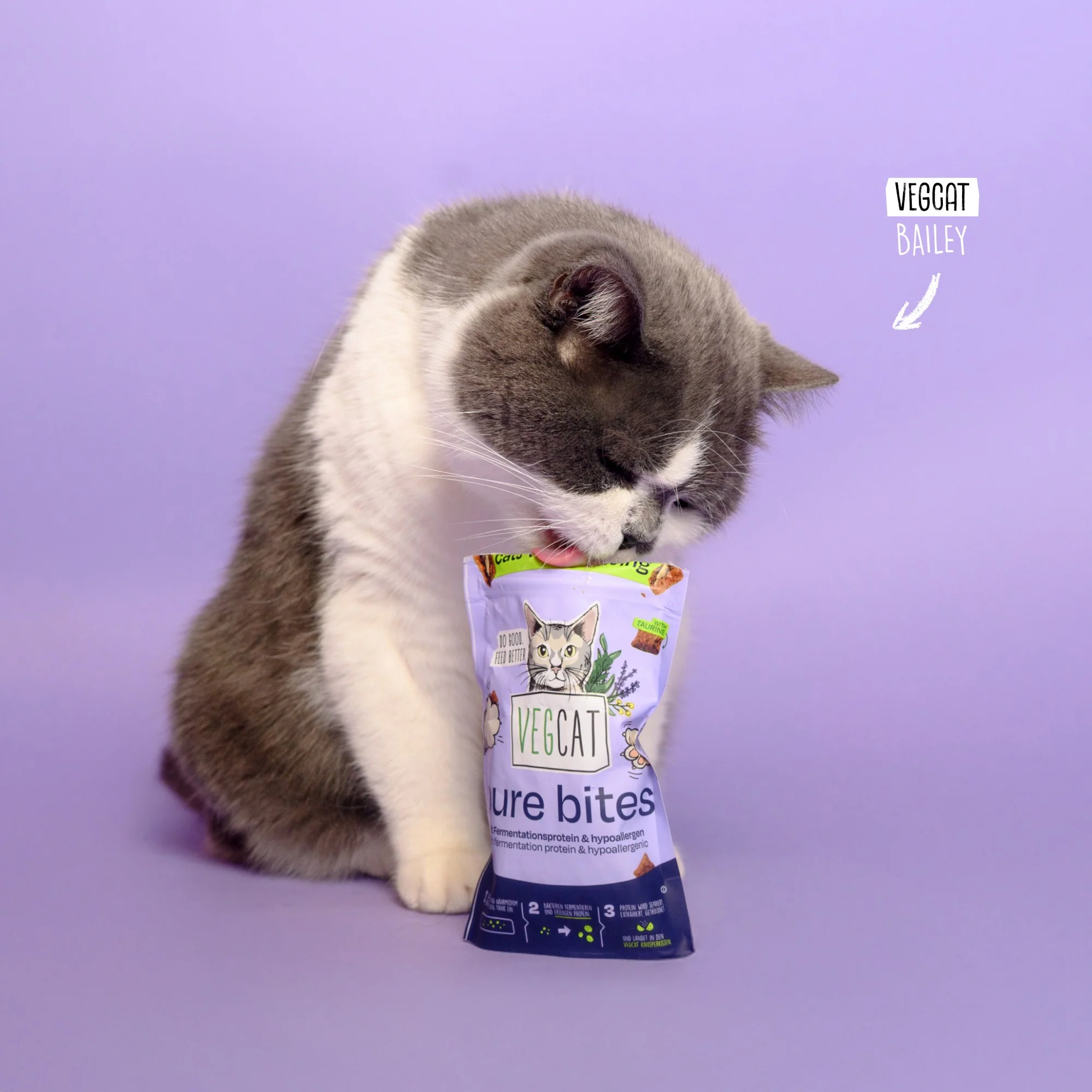 VEGCAT Pure Bites - Image 6
